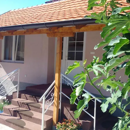 Apartment Apartman Djordano